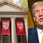 Harvard Drag Trump Government Go Court Because Dem No Wan Make Foreign Students Join School