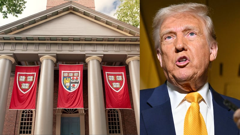 Harvard Drag Trump Government Go Court Because Dem No Wan Make Foreign Students Join School