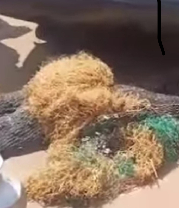 Wahala don jam network oooo… Keke maruwa don nak kpai one ojuju and the ojuju calaba don follow there go meet the real old fathers o…. How take happened?