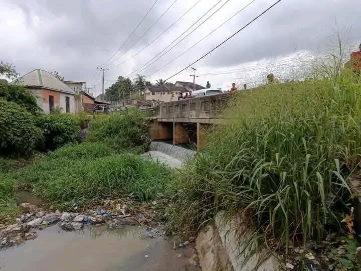 a2_1747247760 a2_1747247760