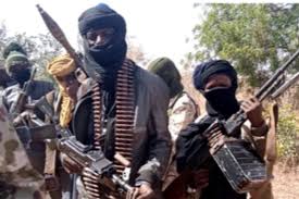 Abduct: Bandits carry medical doctor for Zamfara