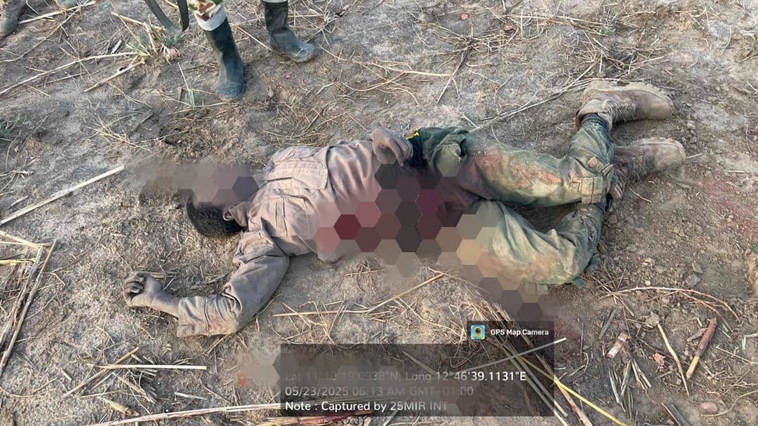 x4_1747995750 x4_1747995750