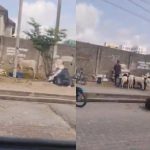 Sallah man vex say dem set up illegal goat and cow market for lekki phase one