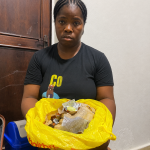 South African Woman Sentenced to 130 Years Over Cocaine Trafficking in Sierra Leone