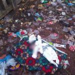 Newborn Baby Found Dead at Dump Site in Bayelsa State Sparks Outrage