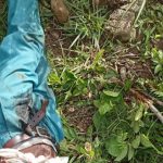 Missing Man Found Dead with Gunshot Wounds and Machete Cuts at Plateau Mining Site