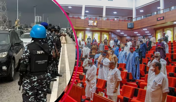 Senate Adopts Manual Voting on State Police Bill After Technical Glitch