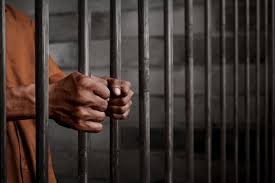 Kano Court Jails Man for Storing Human Faeces Outside His Residence