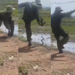 Man Chases Snake With Bare Legs in Viral Video, Social Media Reacts