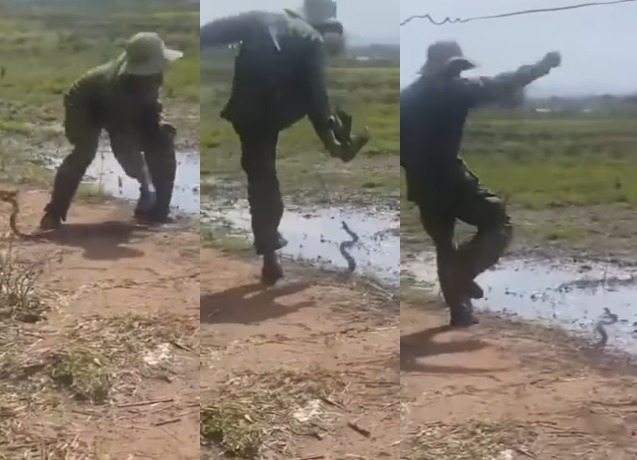 Man Chases Snake With Bare Legs in Viral Video, Social Media Reacts