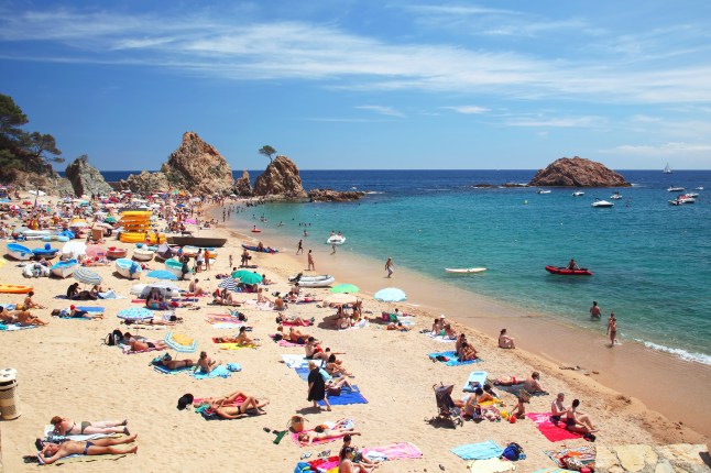 Flesh-Eating Bacteria Raises Health Concerns on European Beaches Amid Rising Sea Temperatures